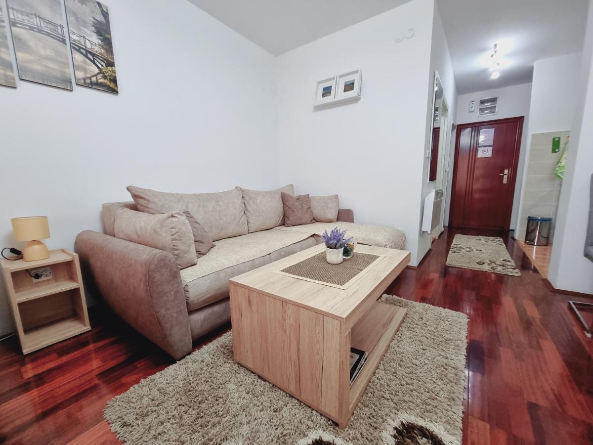 Apartman Temida Lux Vrnjacka Banja Exterior photo